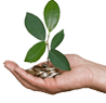 Financial Planning