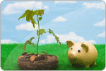 Mutual Funds
