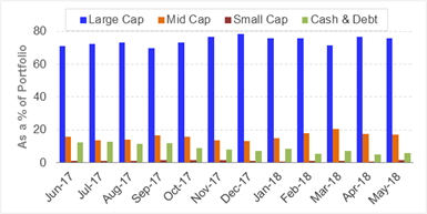 DSP BlackRock Small Cap Fund - Portfolio