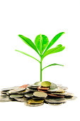 Mutual Funds